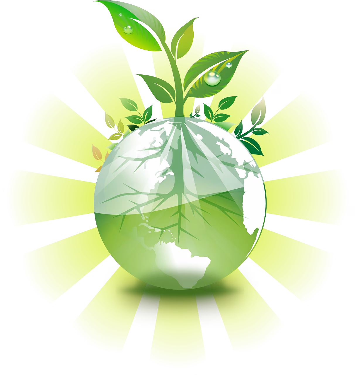 Top 15 Green Cities In America - Best Recycling Programs