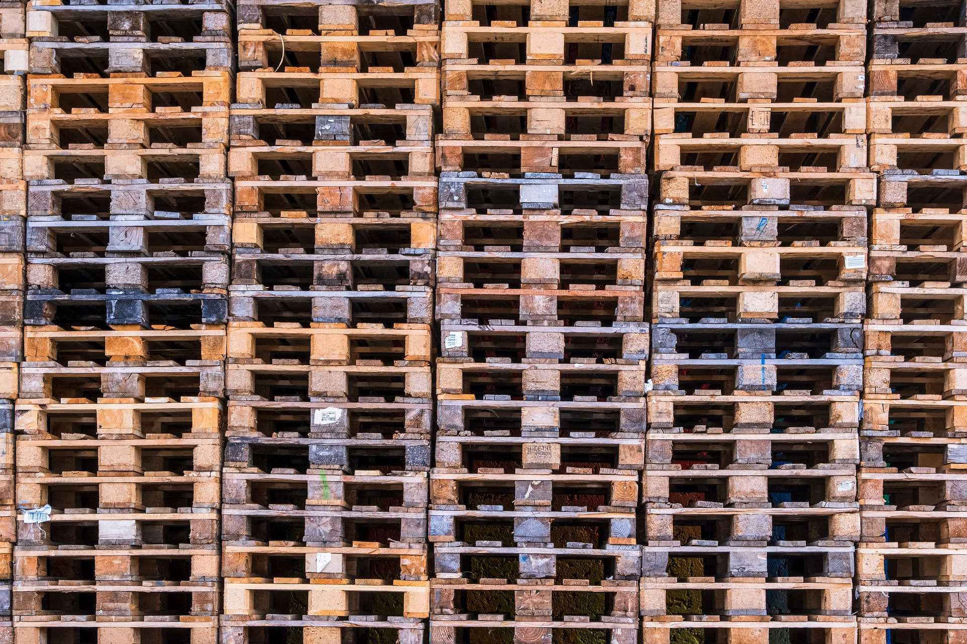 Kamps Pallets Opens a new pallet production plant in San Antonio, TX